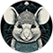 Tý