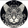 Mão
